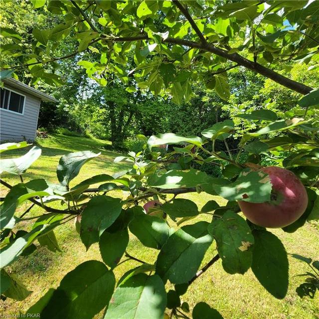 190 Paudash St, House detached with 1 bedrooms, 1 bathrooms and 2 parking in Hiawatha First Nation ON | Image 7